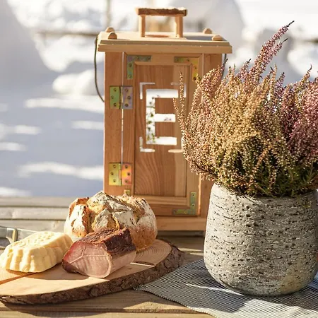 Dağ evi Zillertaler Hofchalets